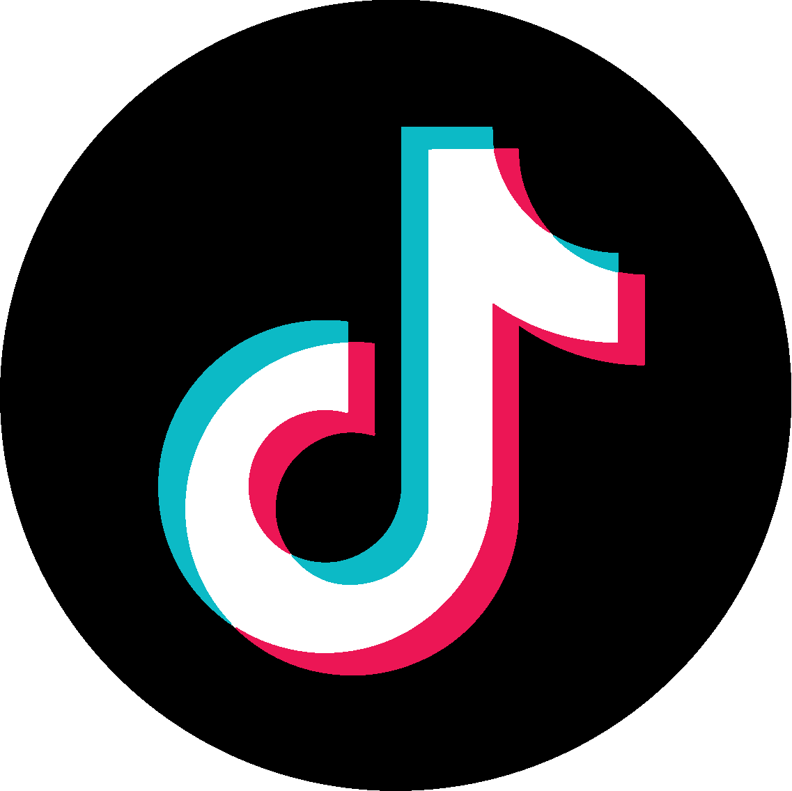 TikTok Ads
